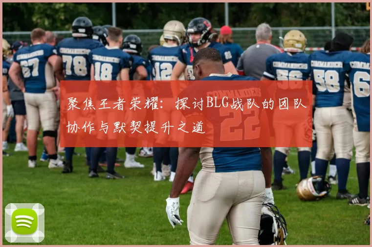 聚焦王者荣耀：探讨BLG战队的团队协作与默契提升之道