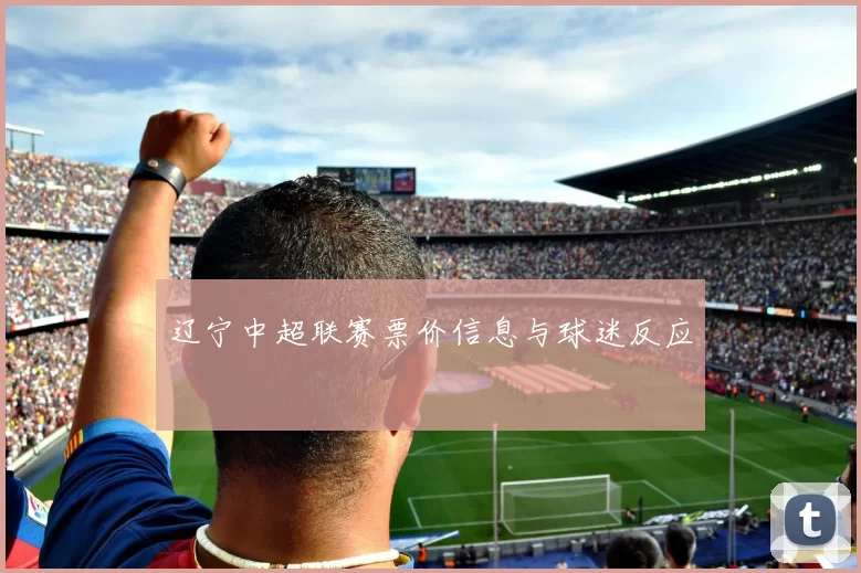 辽宁中超联赛票价信息与球迷反应