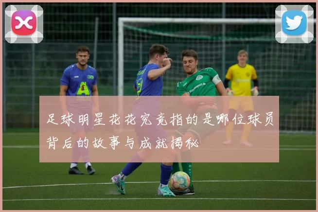 足球明星花花究竟指的是哪位球员背后的故事与成就揭秘