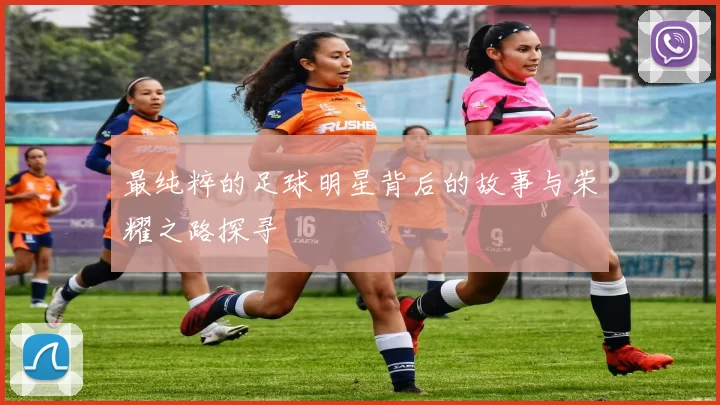 最纯粹的足球明星背后的故事与荣耀之路探寻