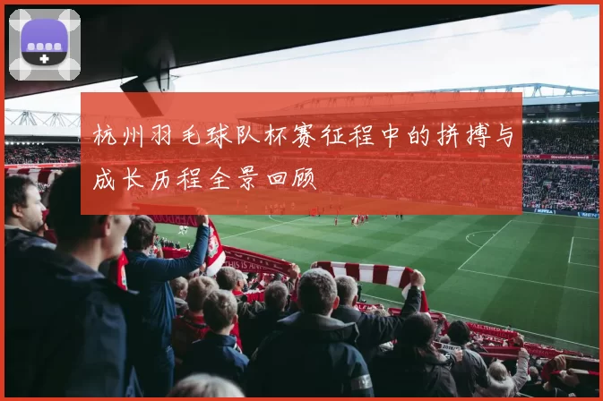 杭州羽毛球队杯赛征程中的拼搏与成长历程全景回顾