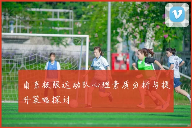 南京极限运动队心理素质分析与提升策略探讨
