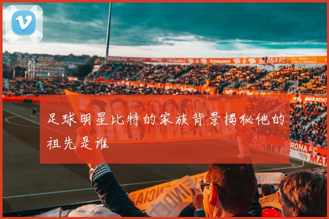 足球明星比特的家族背景揭秘他的祖先是谁