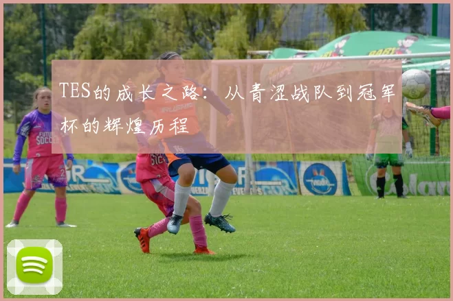 TES的成长之路：从青涩战队到冠军杯的辉煌历程