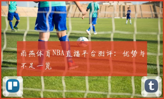 雨燕体育NBA直播平台测评：优势与不足一览