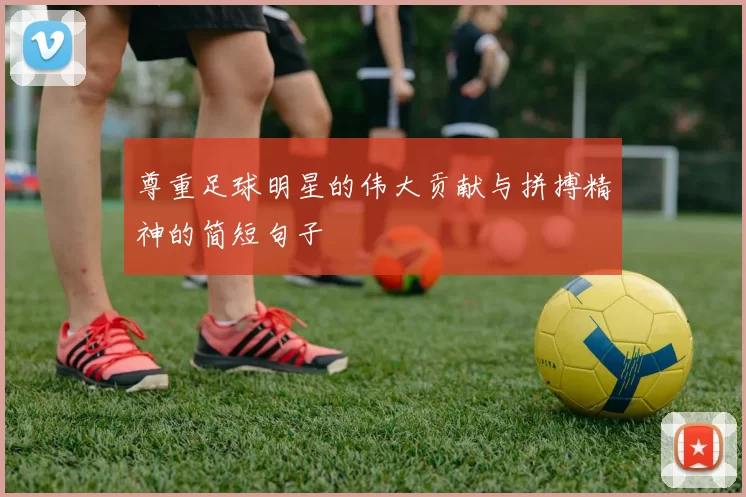 尊重足球明星的伟大贡献与拼搏精神的简短句子